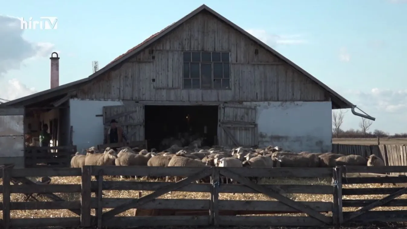 Soroló: Érdemi segítség a generációváltásban