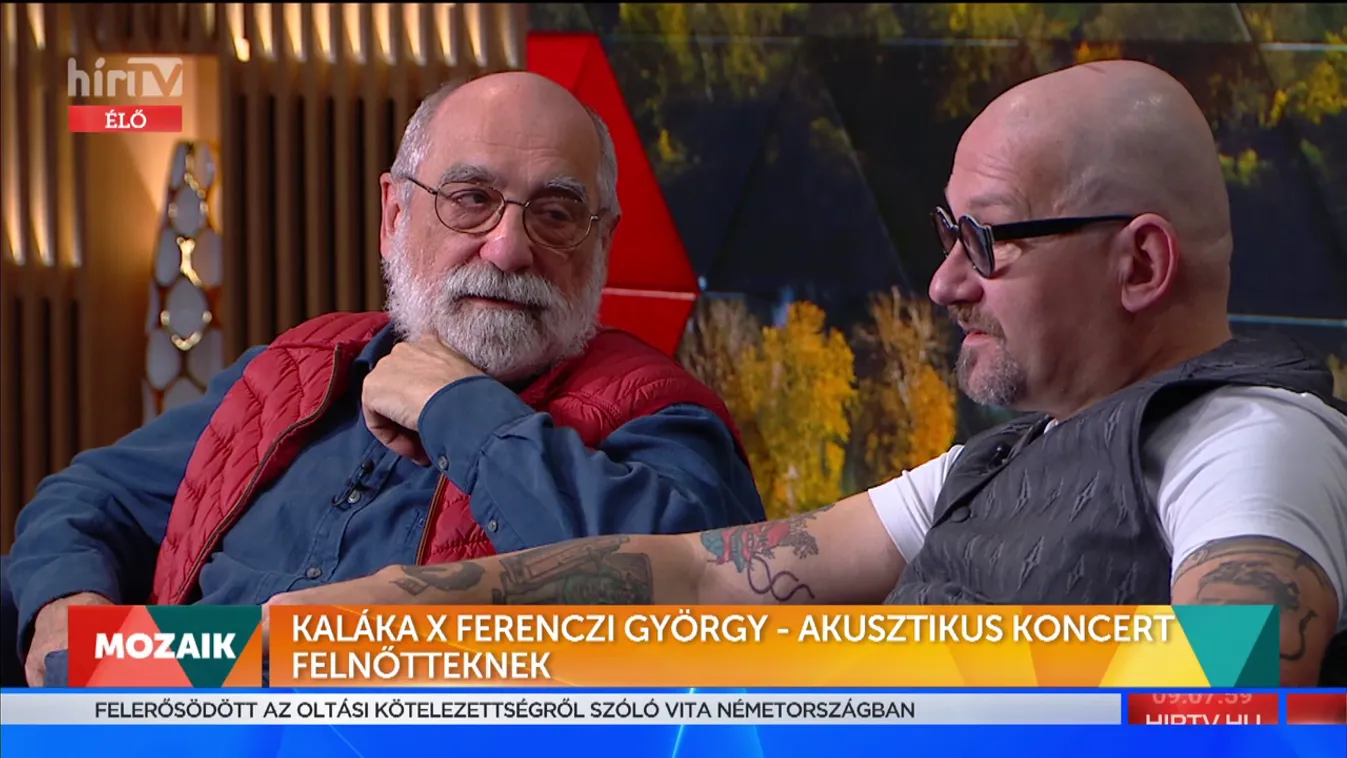 Mozaik - Akusztikus koncert felnőtteknek