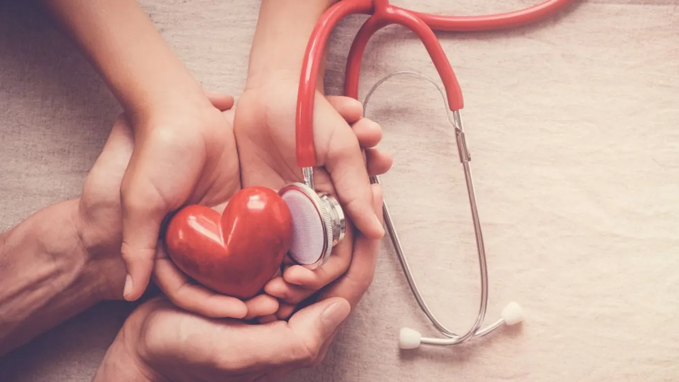 Szívbeteg babákon segít a családszervezetek adventi jótékonysági vására