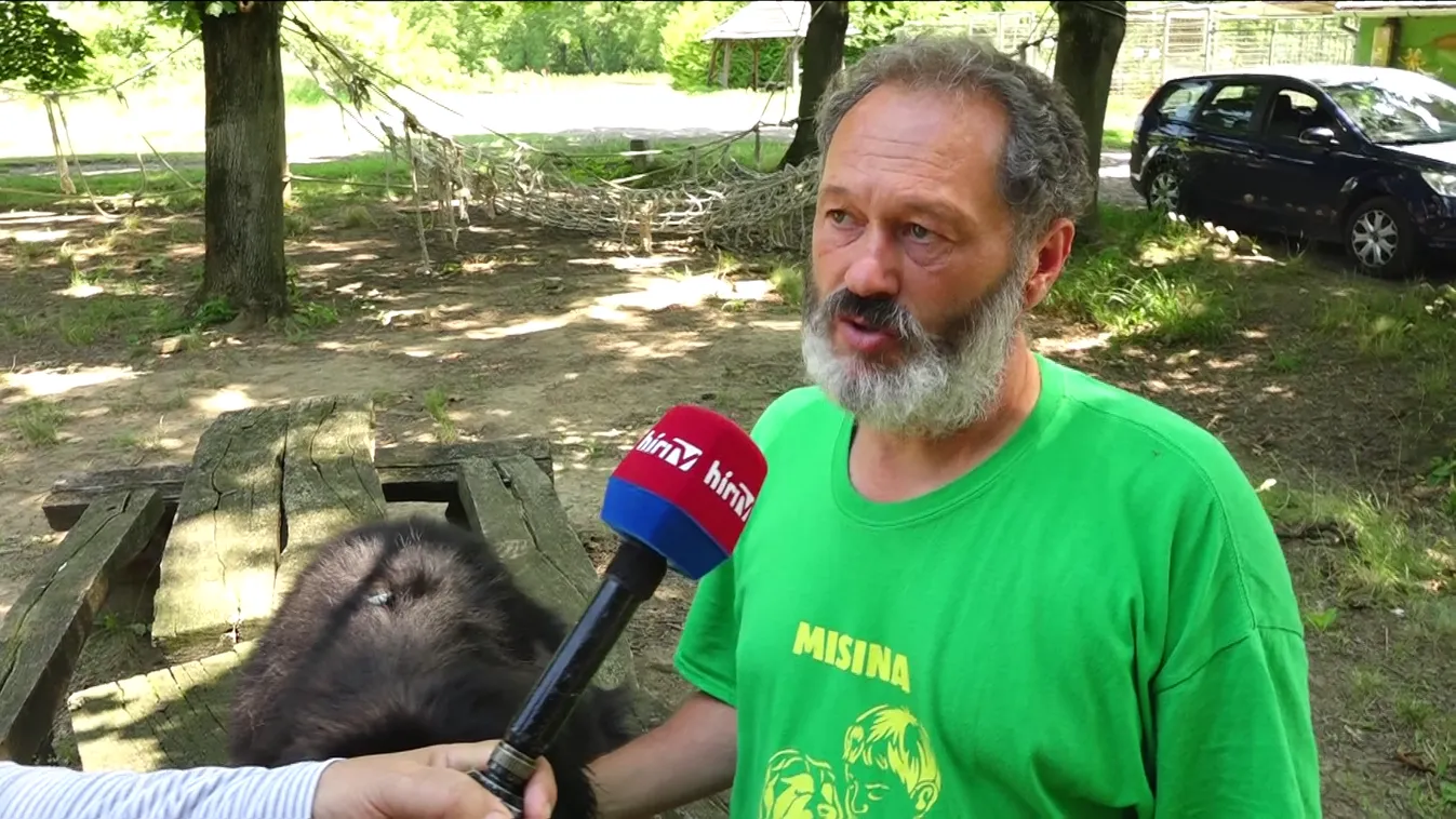 Napindító - Figyeljünk a kutyákra is a nagy melegben!