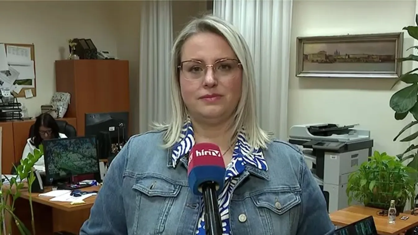 A Fidesz-KDNP szerint Kollár Kinga közbizalmat vesztett a Brüsszelben elhangzott kijelentései miatt + videó