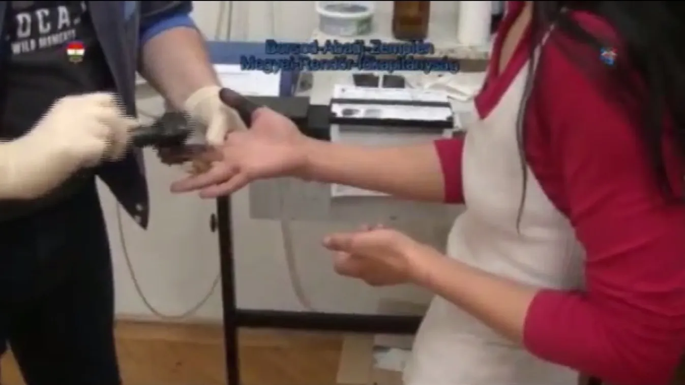 Szíven szúrta párját