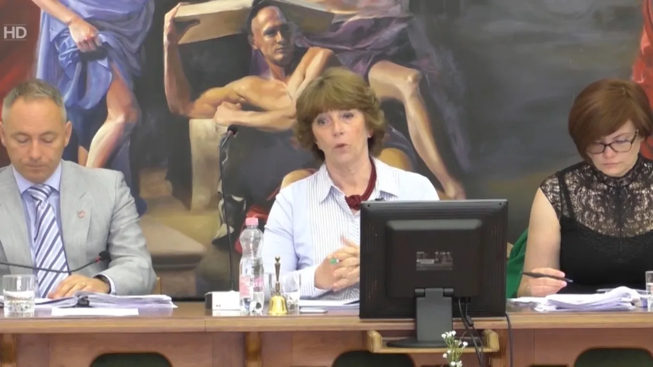 Nem létező beruházás miatt indított telefonos közvélemény-kutatást Vác baloldali városvezetése + videó