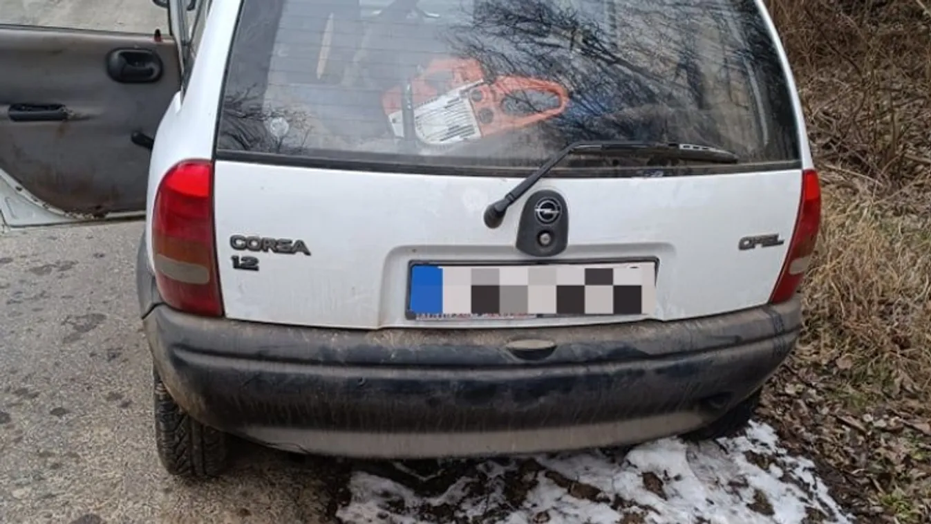 Szolgálatba tartott, fatolvajokat fogott