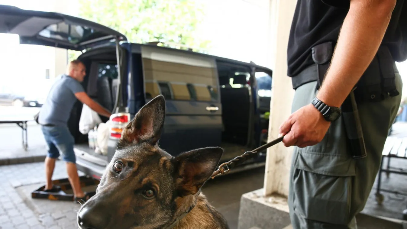 Nagy csapást mért az illegális cigipiacra a NAV