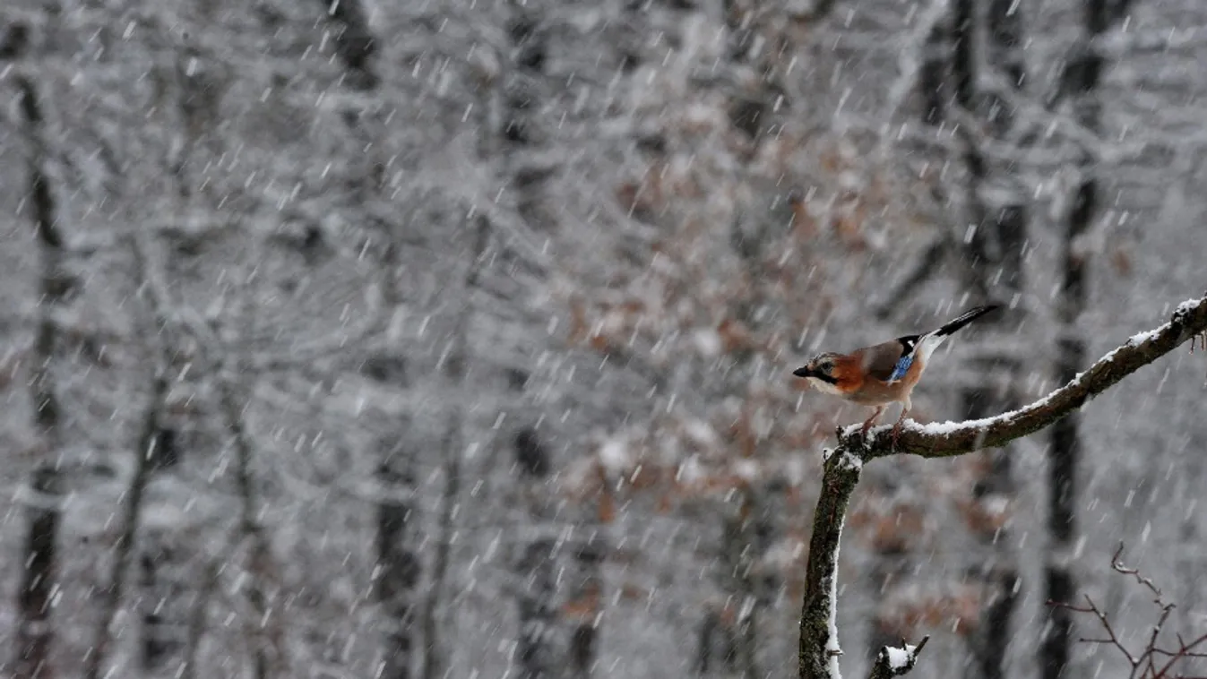 A hétvégén nagyot változik az időjárás