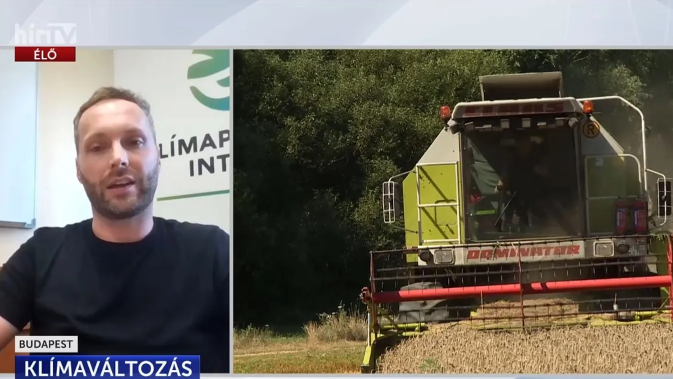 Dráguló élelmiszerárak + videó