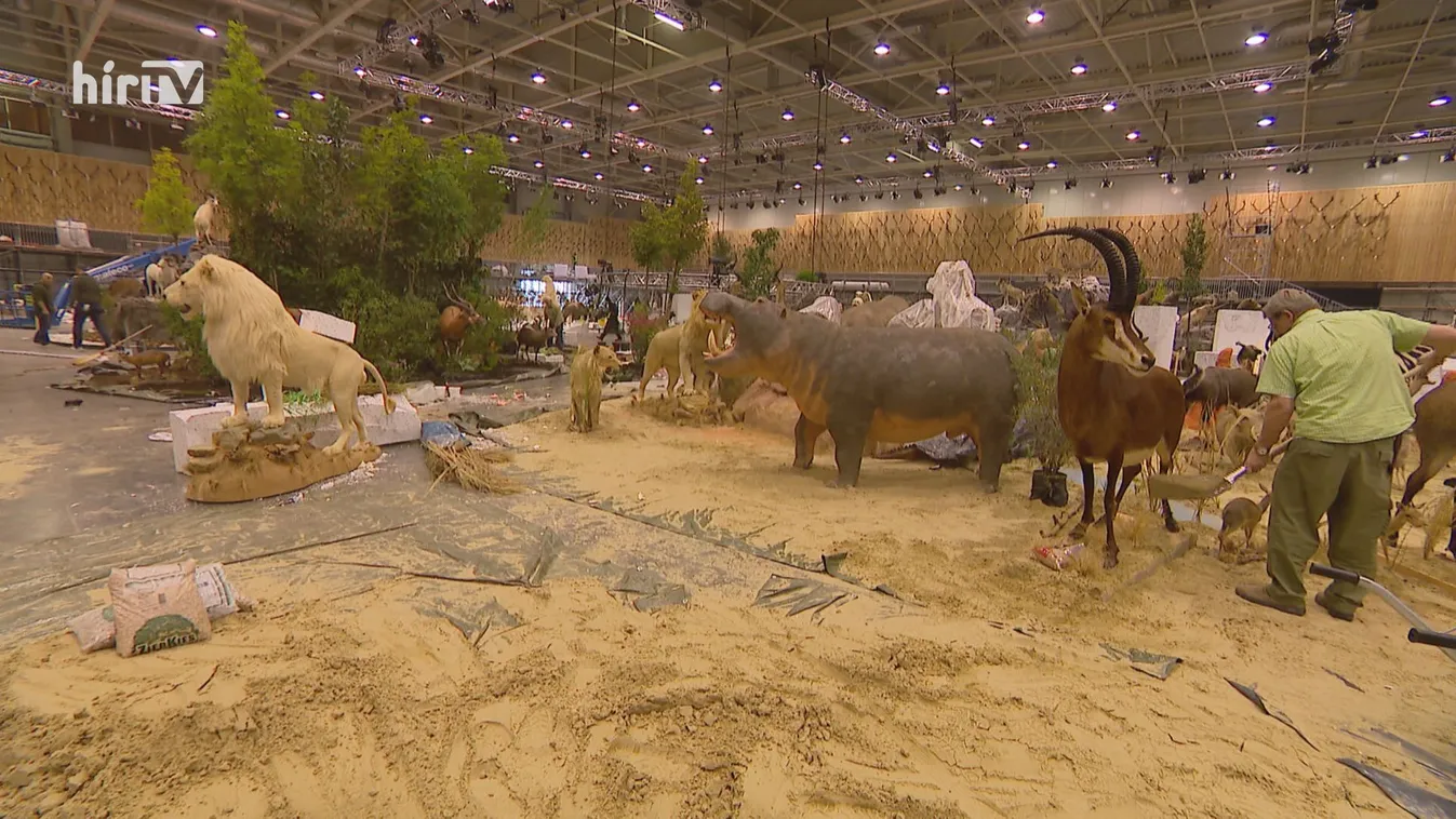 Célegyenesben a Vadászati Világkiállítás