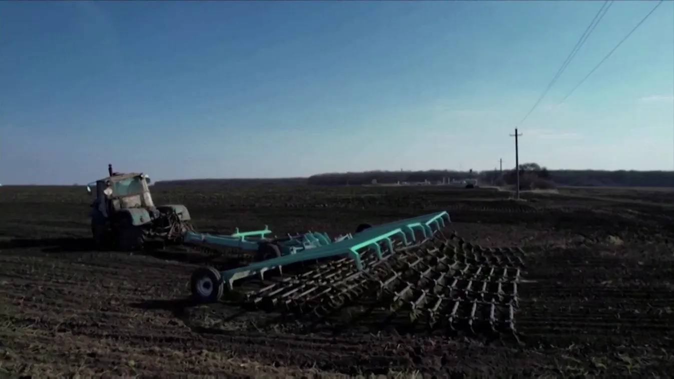 Jelentősen emelkedik a gabona ára