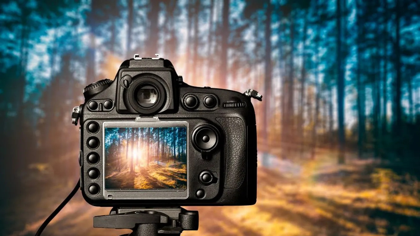 Virtuális kiállítás mutatja be Magyarország értékeit