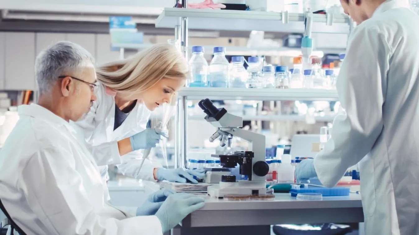 Több mint 320 kutató, kutatócsoport nyert csaknem 11 milliárd forint támogatást