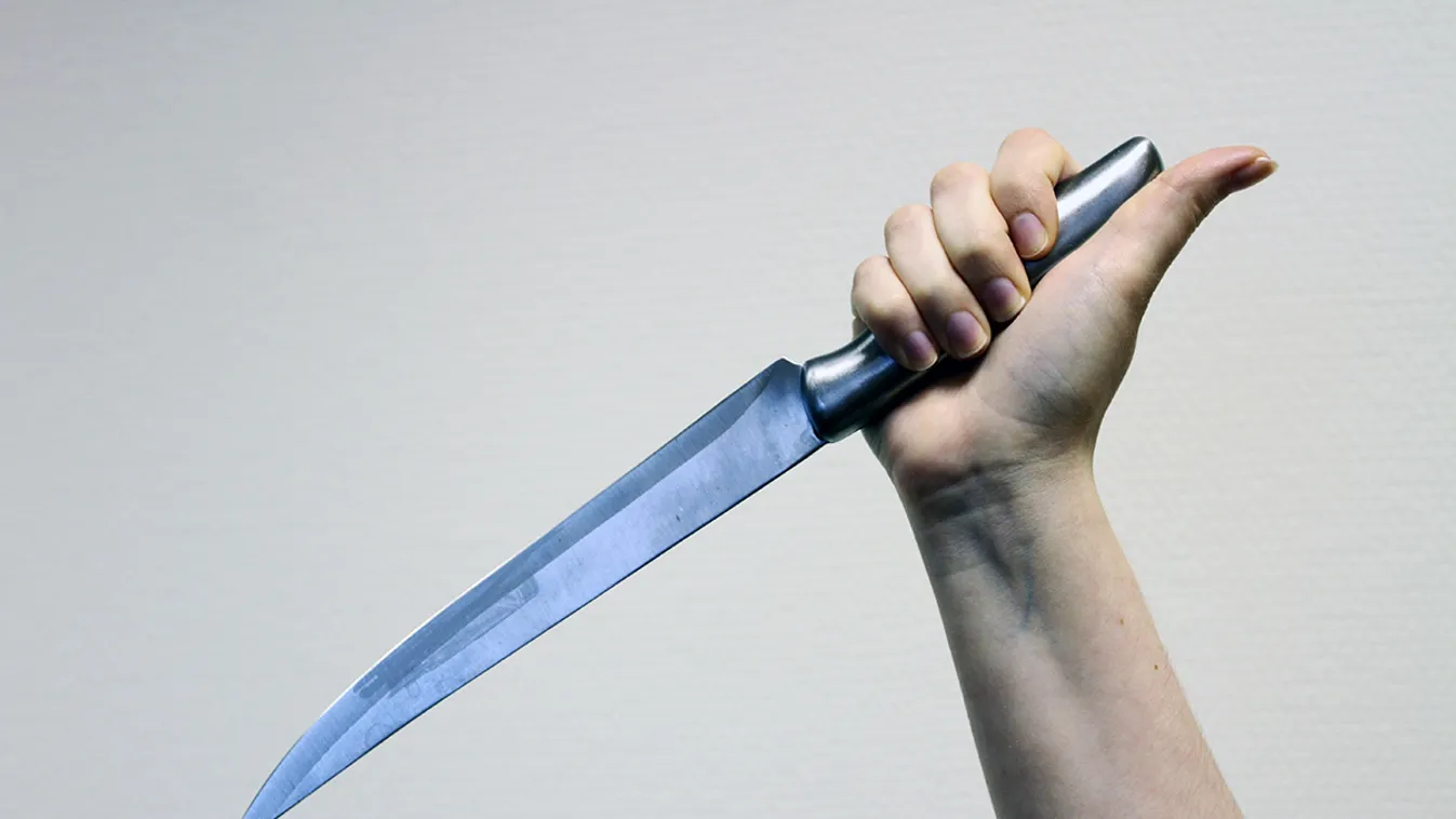 Tizenöt évet kapott a férjét leszúró zalai nő