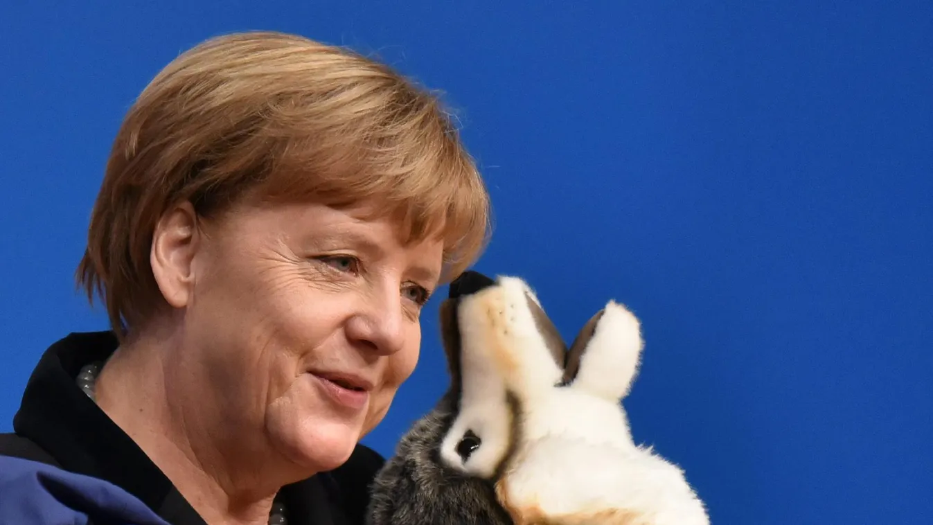 Angela és a farkasok – Európai híradó