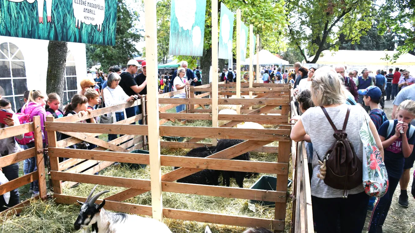 Hétvégén rendezik az OMÉK-ot