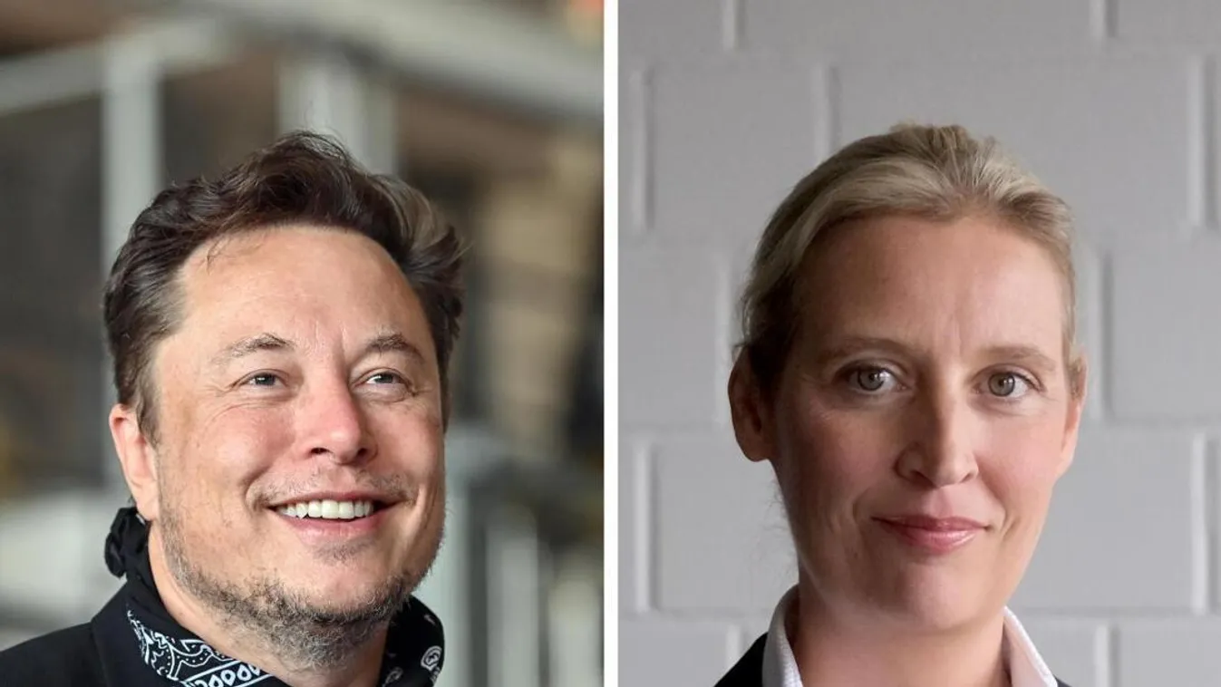 Elon Musk: állítása szerint, Németországot csak az AfD mentheti meg, aki változást akar Németországban, az szavazzon a pártra + videó