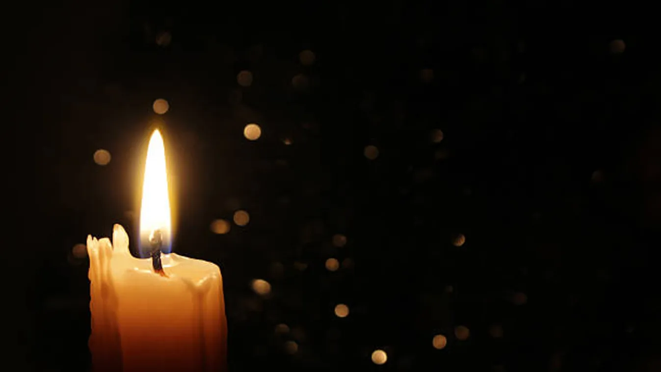 Elhunyt Rozsos István orvosprofesszor