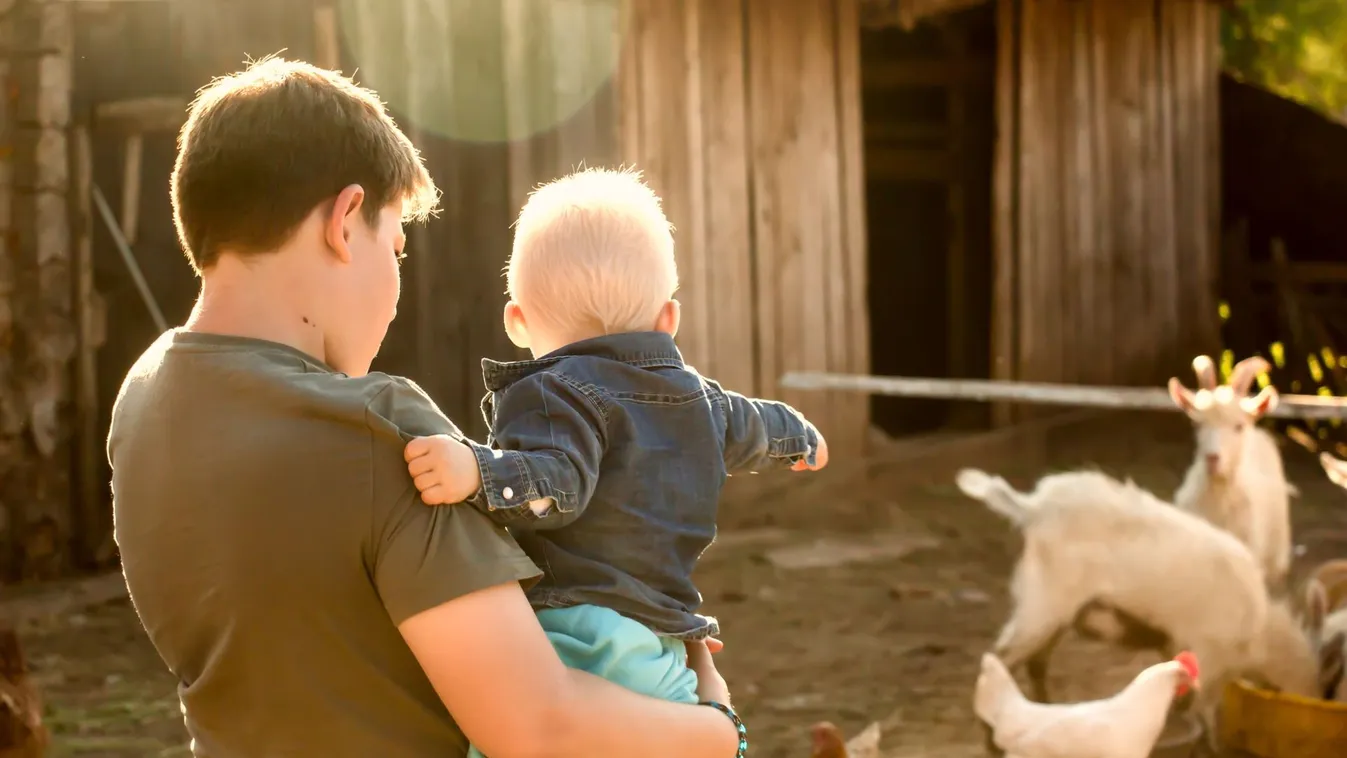 Százötven kistermelő nyitja meg kapuit a Nyitott Porta Napok rendezvénysorozat részeként