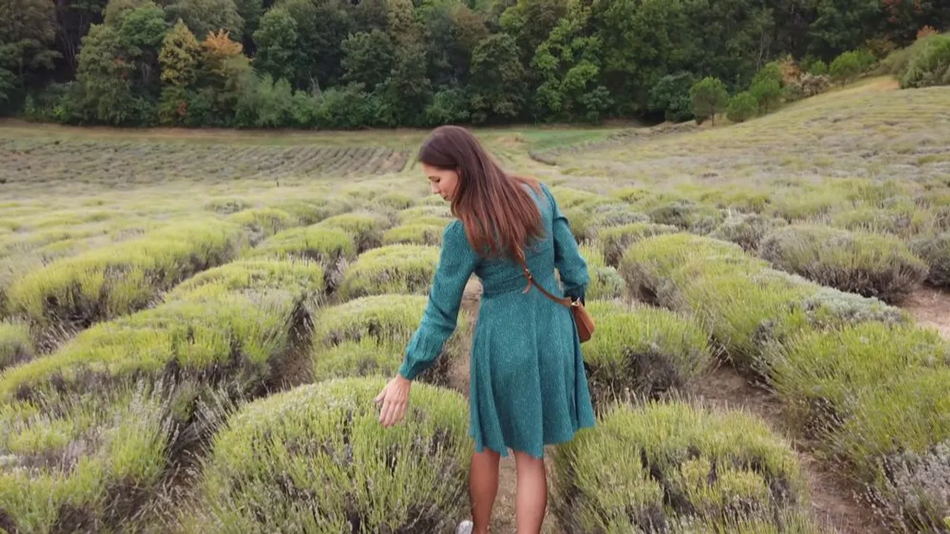 Egy éven belül 2550 kilométert gyalogolt