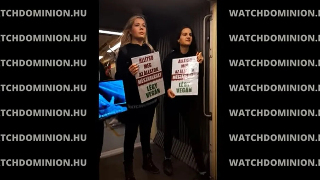 Fradistákba botlottak a vegán aktivisták a metróban