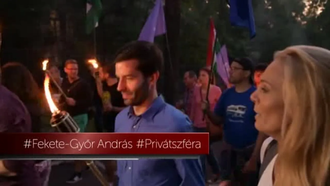 Fekete-Győr: A Fideszre szavaztam