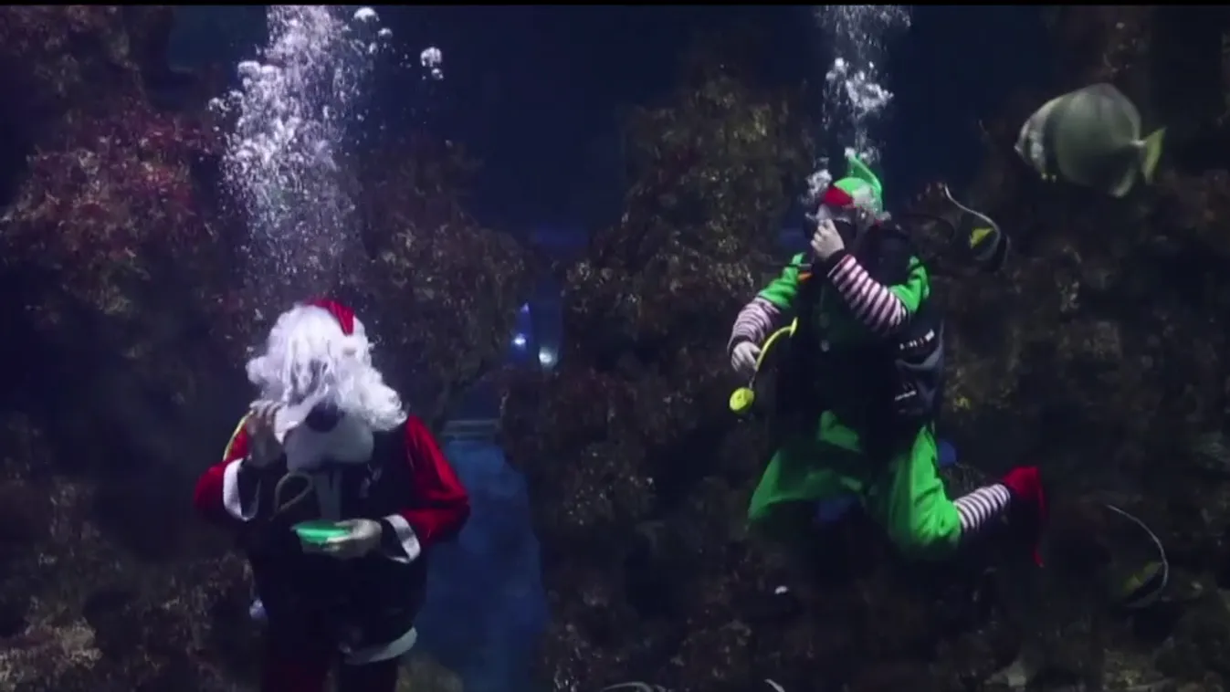 Radar - Karácsony világszerte + videó