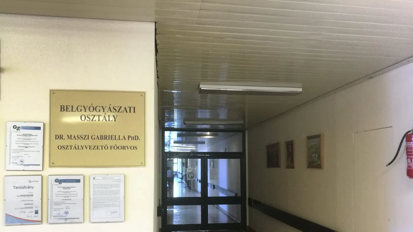 Több ezer orvost veszített el Magyarország