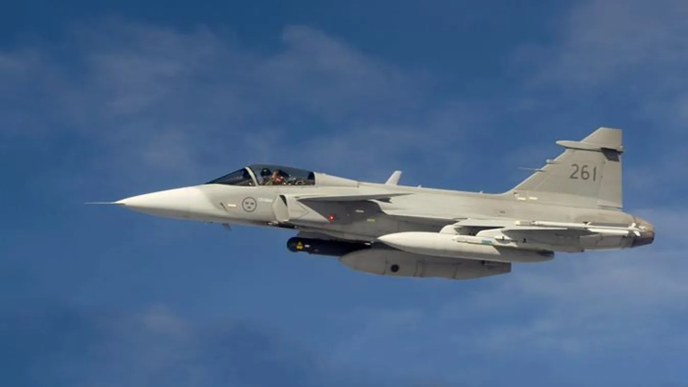 Madárrajjal ütközött egy Gripen