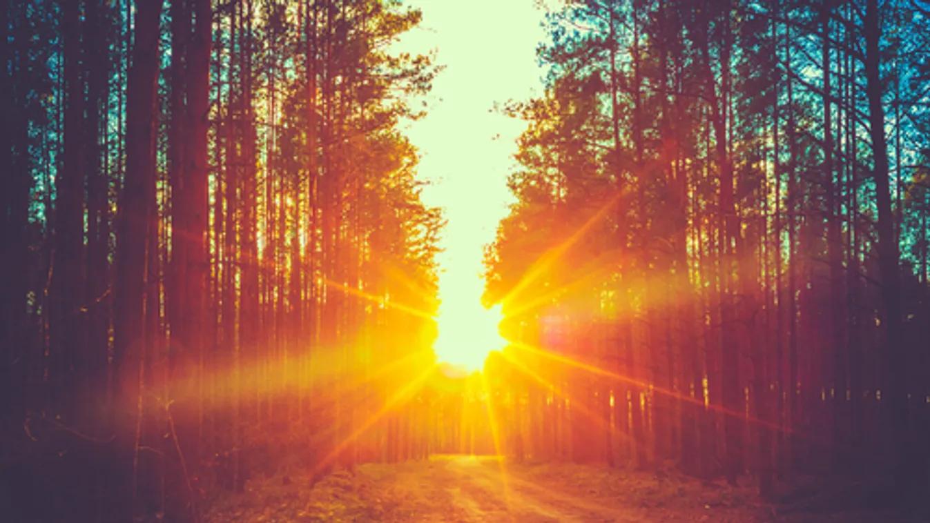 Világszerte a legmelegebb október volt az idei