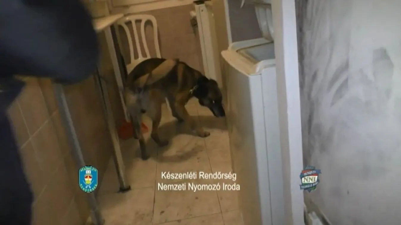 Felszámoltak egy budapesti drogbandát