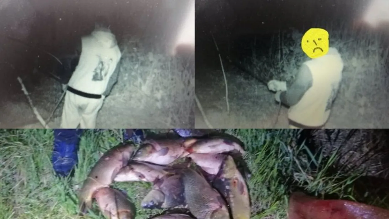 Éjjellátó kamerával buktatták le a tucatnyi pontyot zsákmányoló orvhalászokat