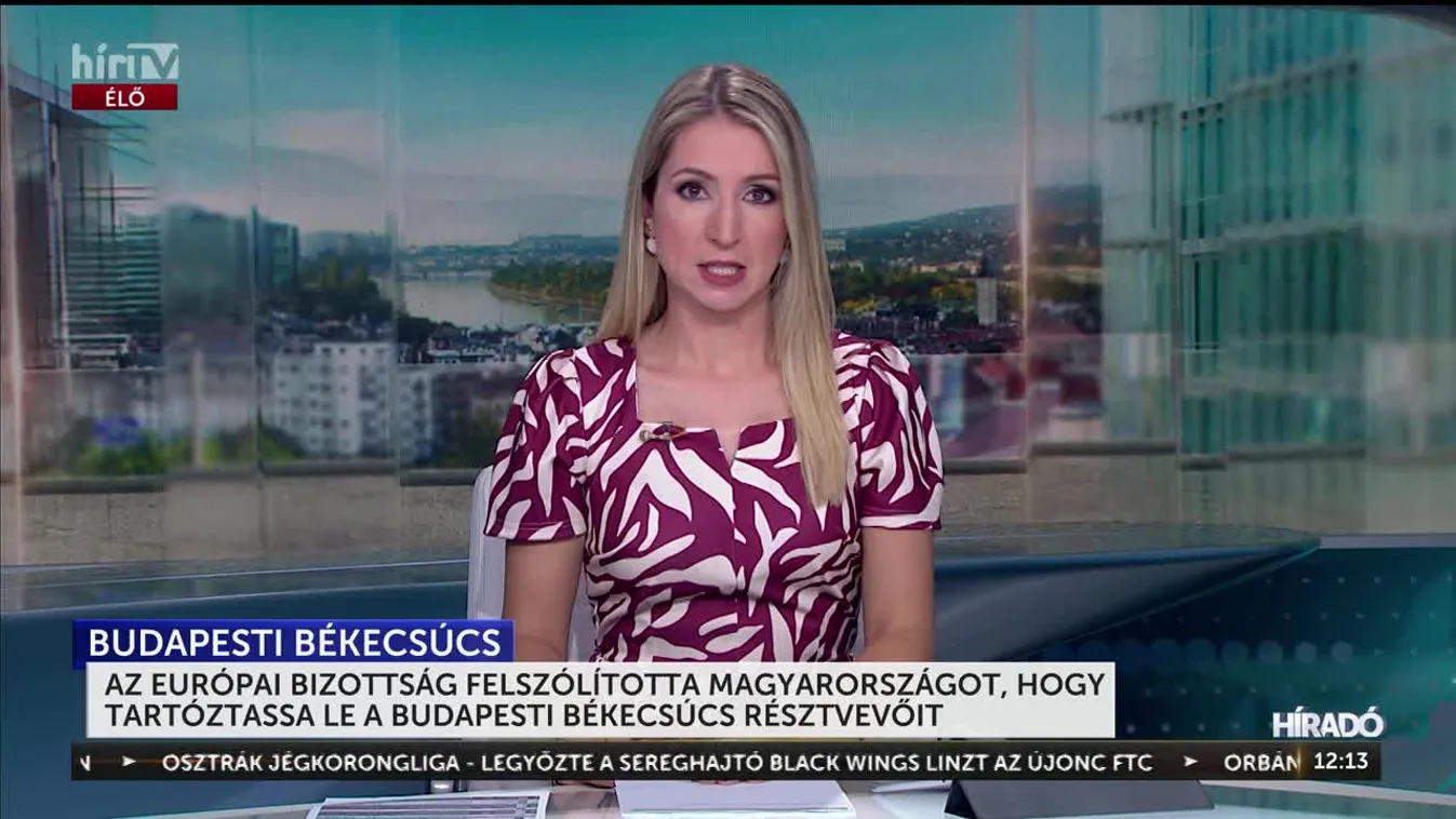AZ EURÓPAI BIZOTTSÁG FELSZÓLÍTOTTA MAGYARORSZÁGOT, HOGY TARTÓZTASSA LE A BUDAPESTI BÉKECSÚCS RÉSZTVEVŐIT
