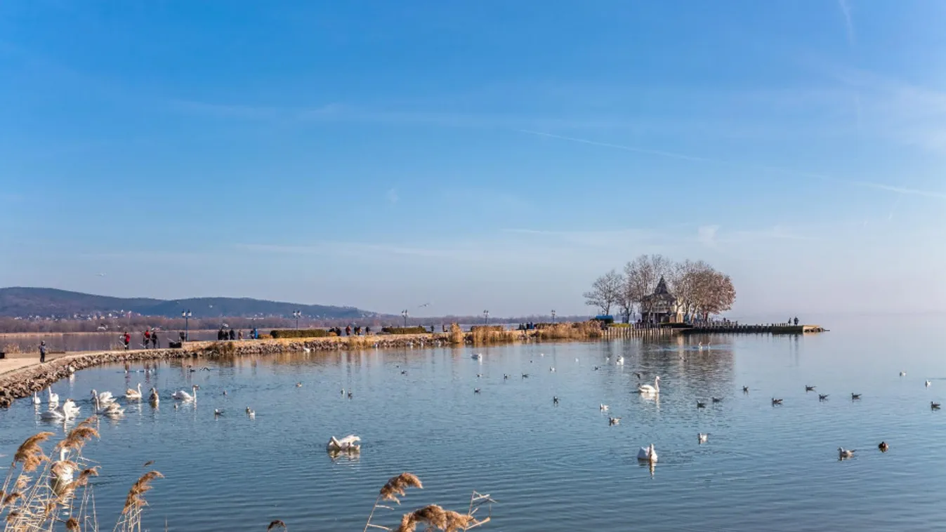 A túl enyhe tél nehezíti a balatoni nádaratást