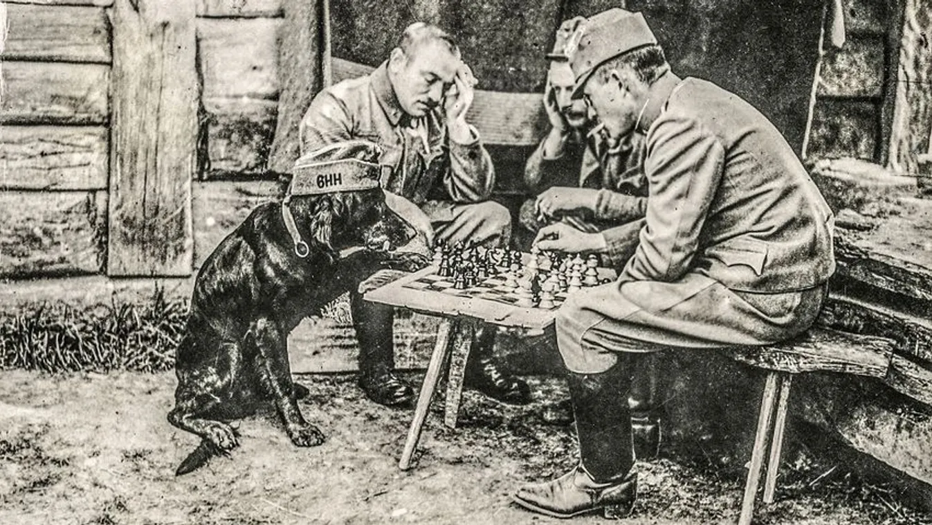 Vulkán őrnagy hőstette
