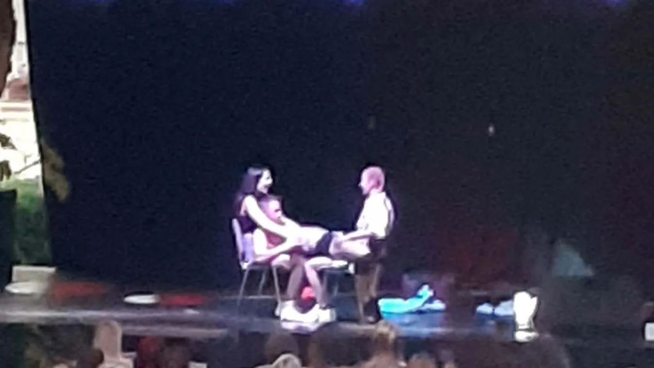 Vetkőzés a múzeum kertjében: így kulturálódott a szentesi baloldal