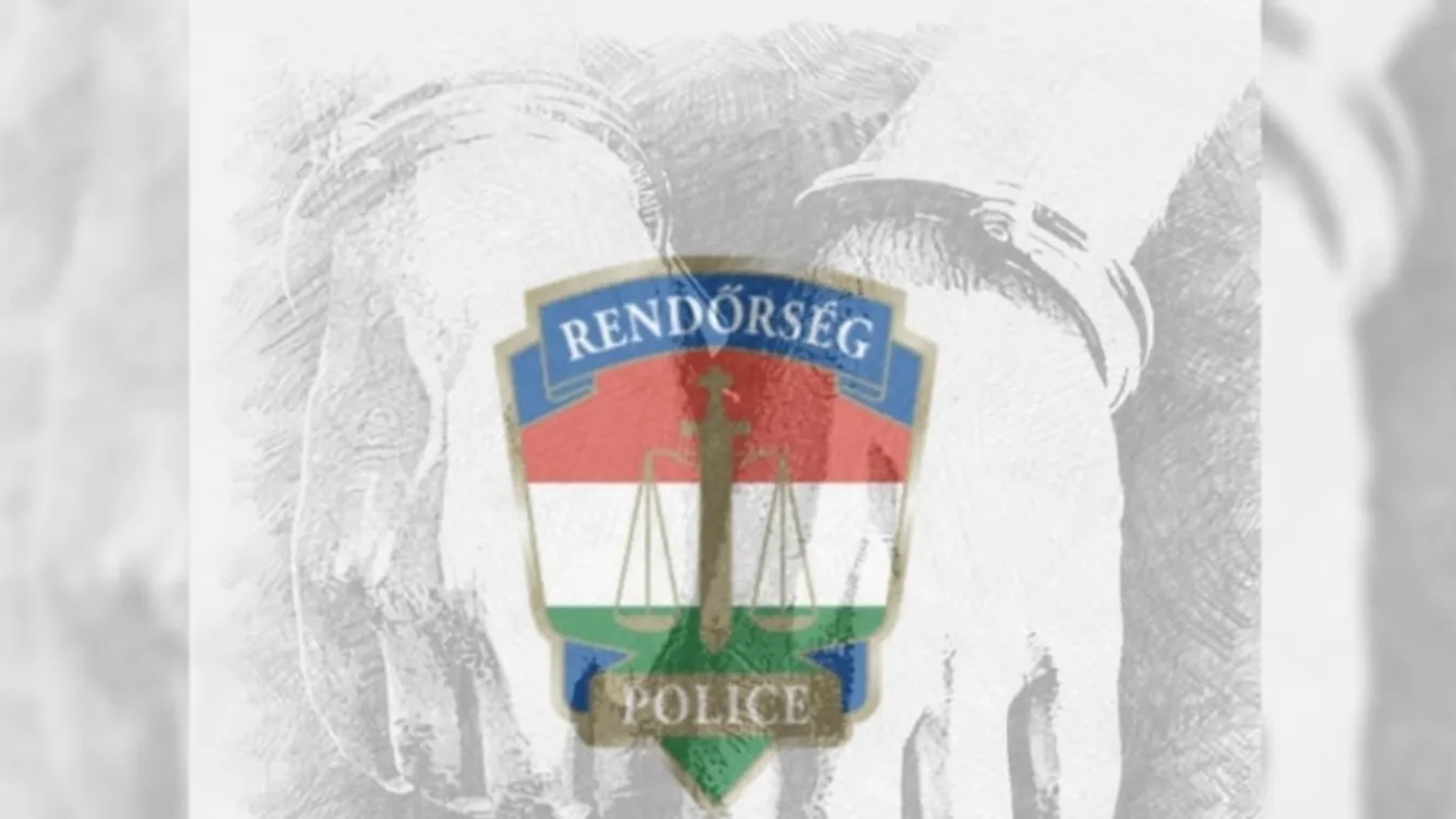 Rendőrkézen a rablás gyanúsítottjai