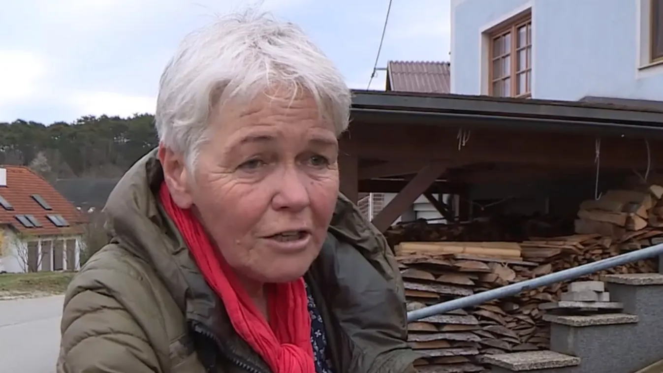 4,1-es erősségű földrengést mértek Bécsújhelynél