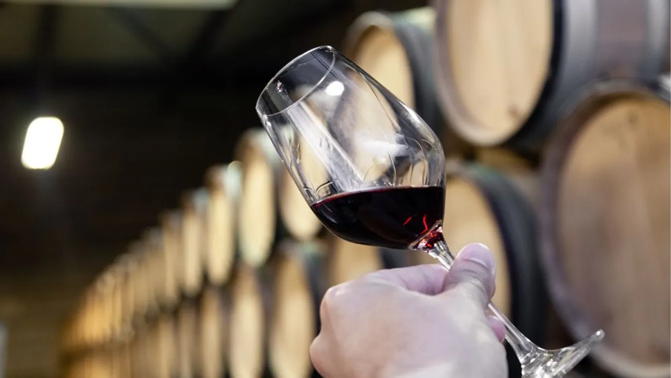 Nagy István: Rendet kell tenni a borágazatban