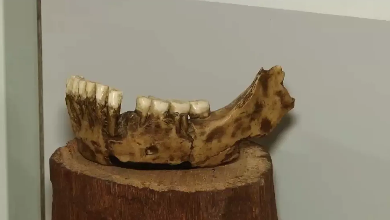 Radar - Neandervölgyi csontmaradványok a barlangban