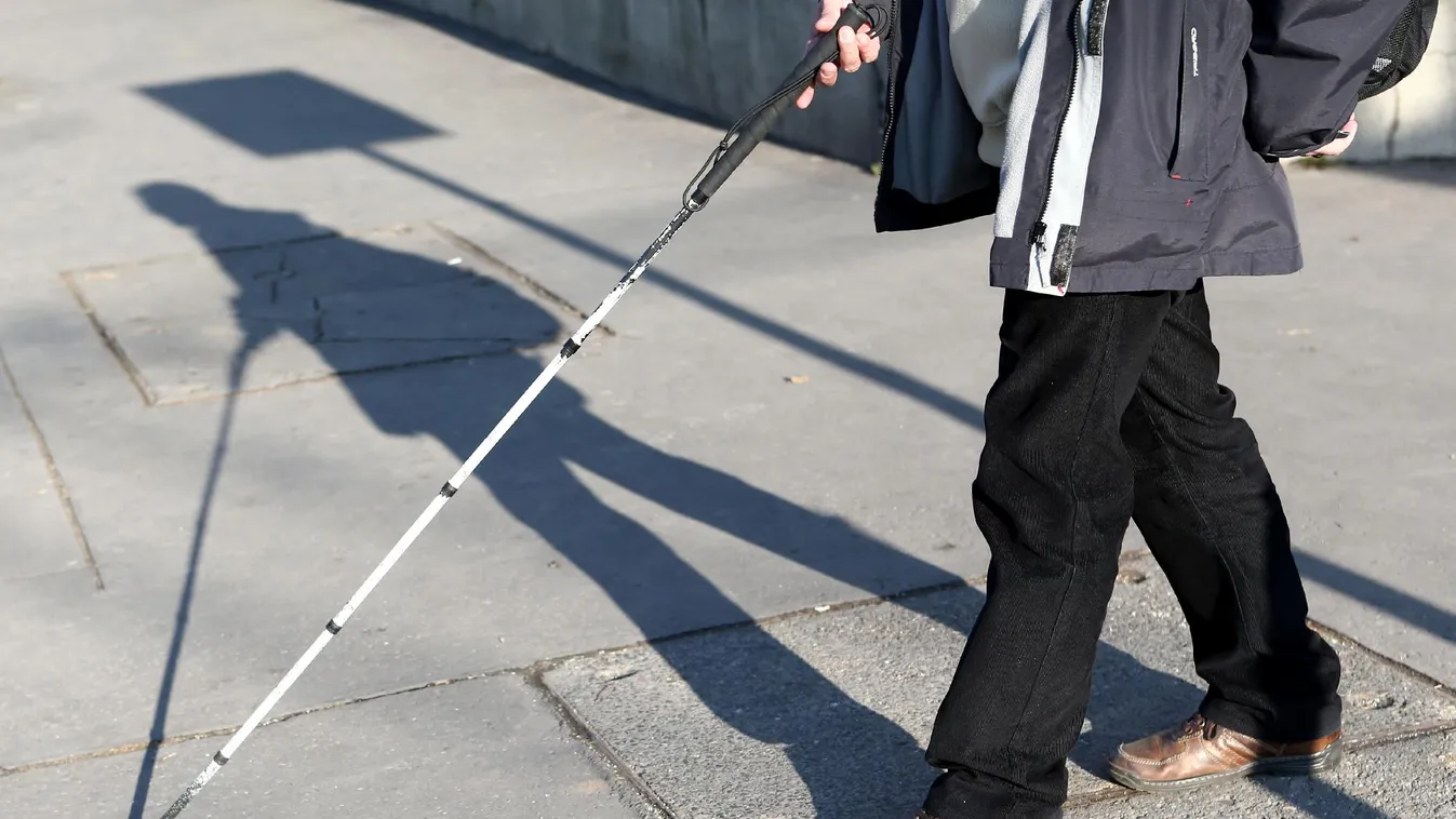 Czibere: Ma már erőforrásként tekintünk a fogyatékossággal élőkre