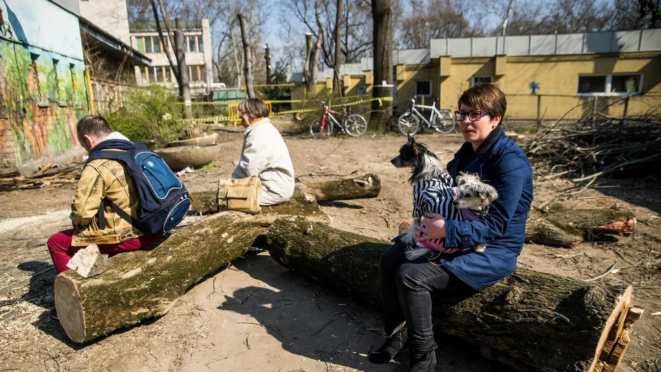 Folytatják a Városliget átalakítását, de a fák maradnak