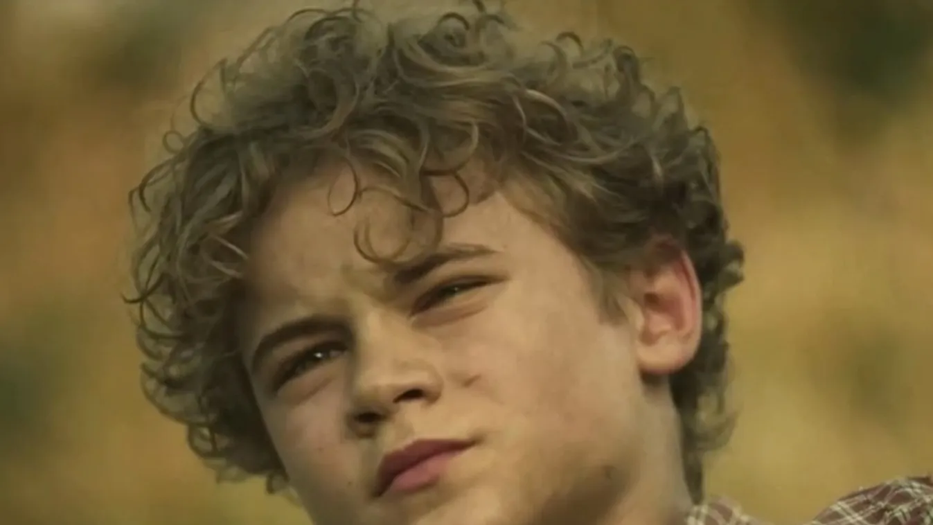 Radar – Árva- Nemes Jeles László legújabb filmje + videó