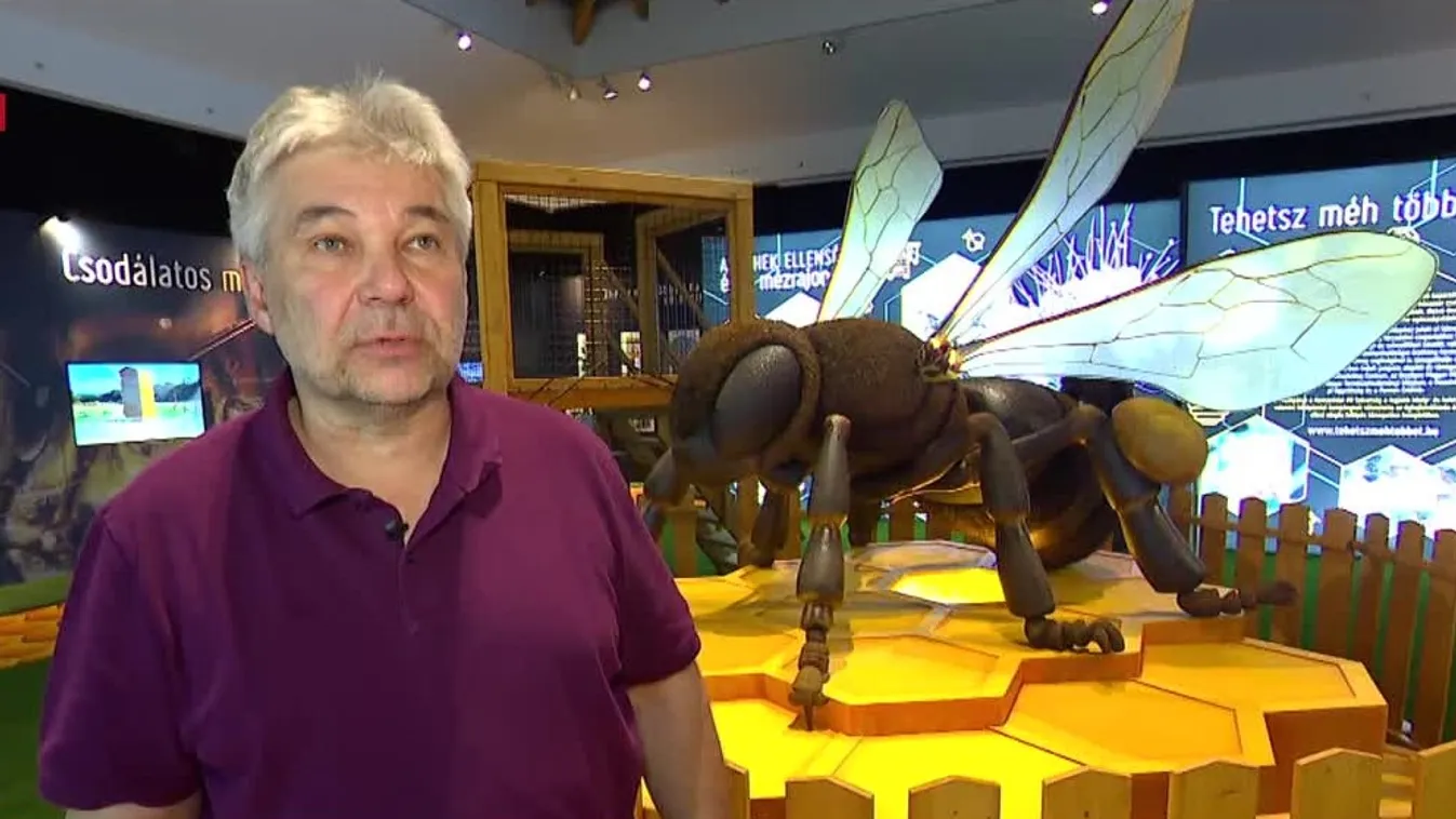 Mozaik - Tehetsz méh többet! - Megnyílt Európa legnagyobb beporzótárlata