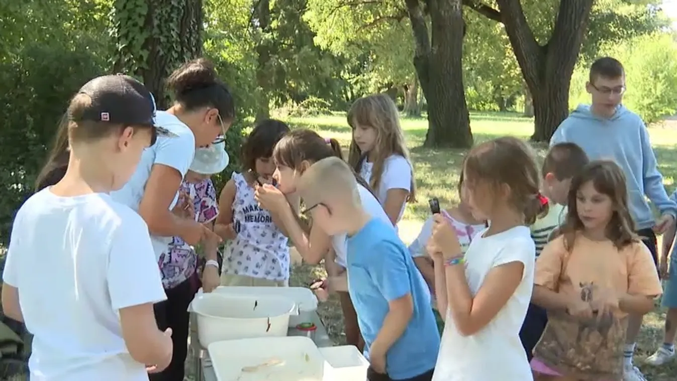 Kézműves tábor működik Zalaegerszegen + videó