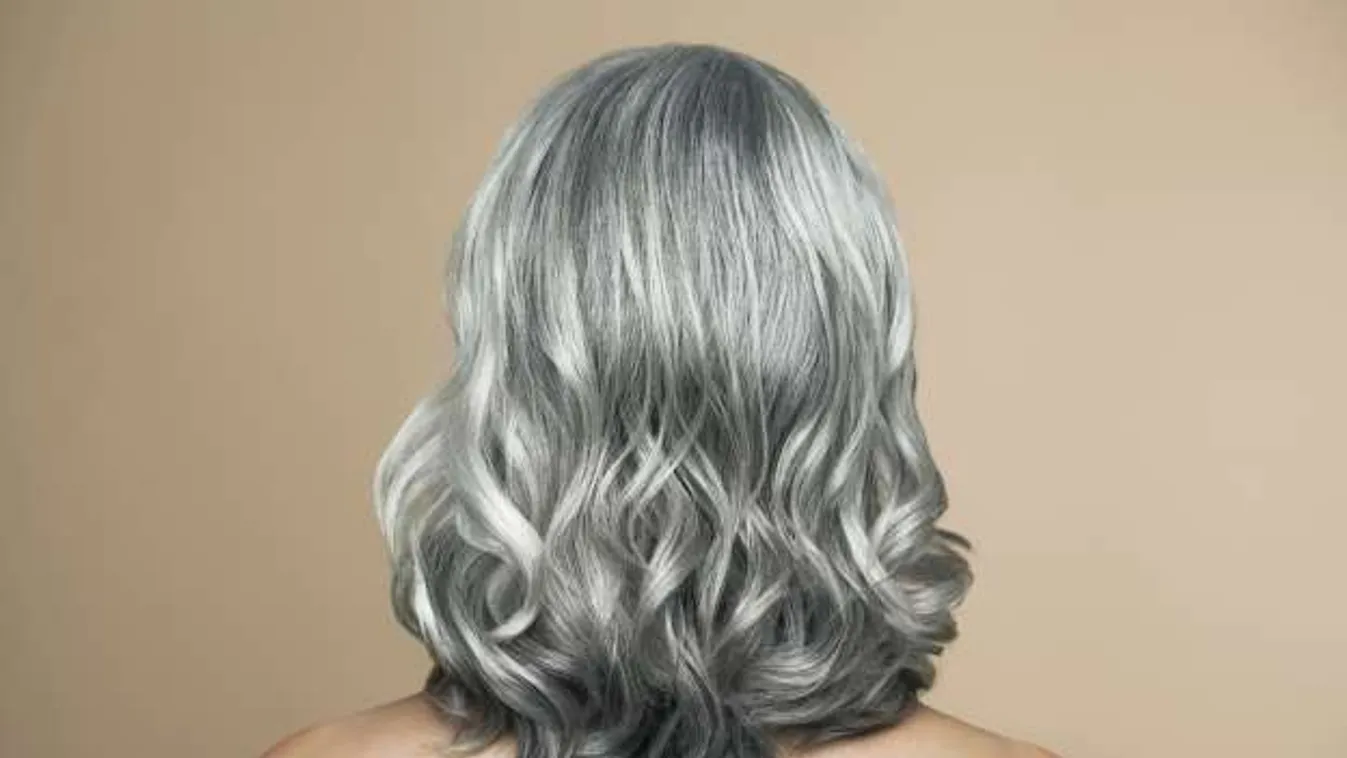 Az őszülés génje – Felfedező