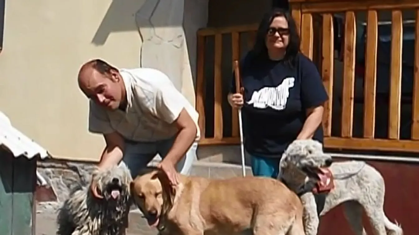 A jegyző elvenné a látássérült házaspár vakvezető kutyáját