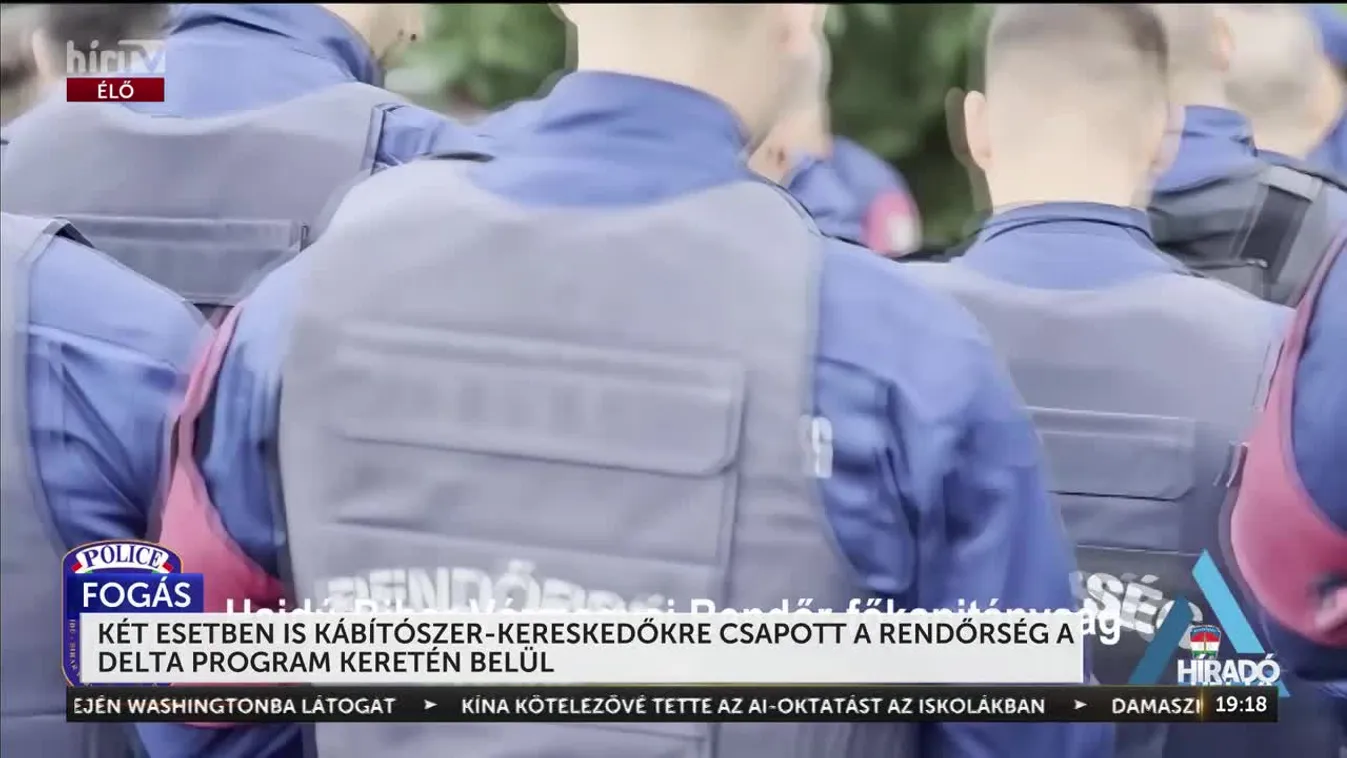 KÉT ESETBEN IS KÁBÍTÓSZER-KERESKEDŐKRE CSAPOTT A RENDŐRSÉG A DELTA PROGRAM KERETÉN BELÜL