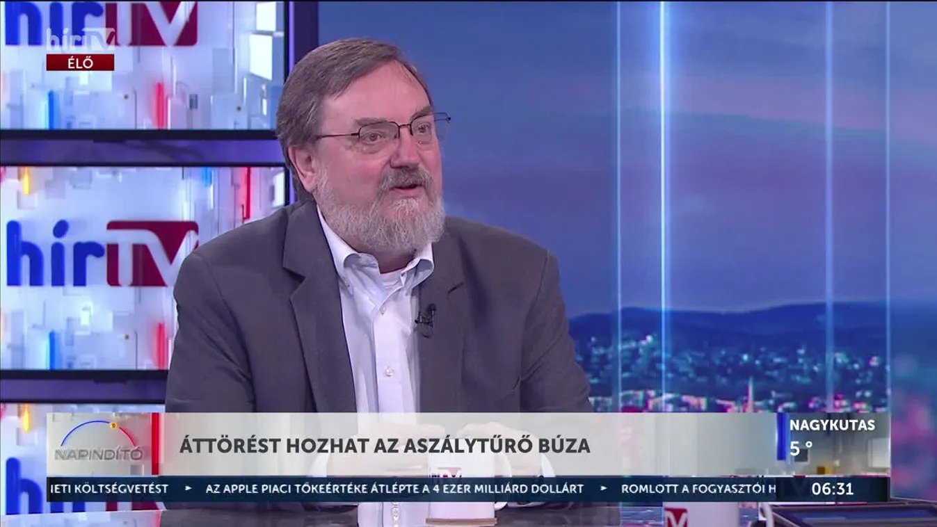 Nem kell félteni a kenyerünket! Áttörés az aszálytűrő búza nemesítésében + videó