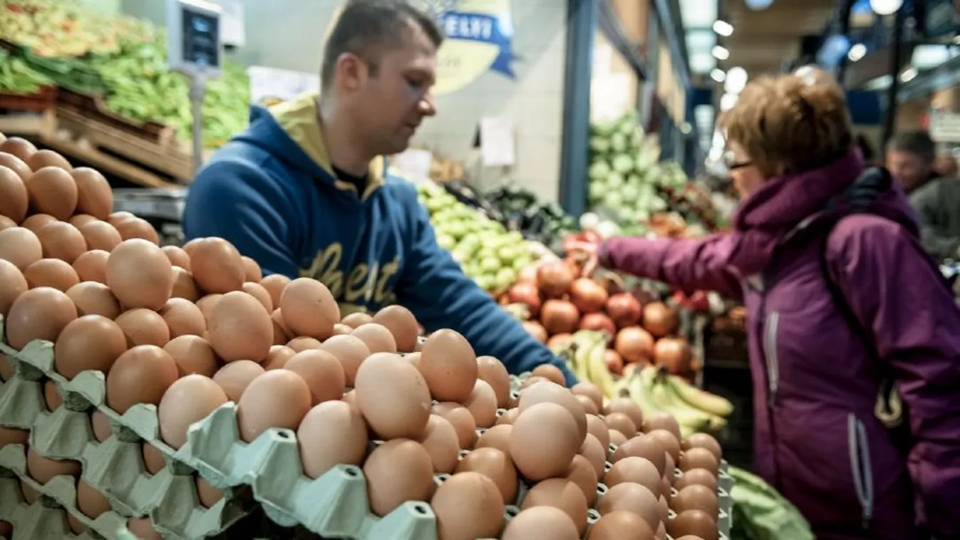 Nem lett kevesebb az ál-őstermelő – Soroló