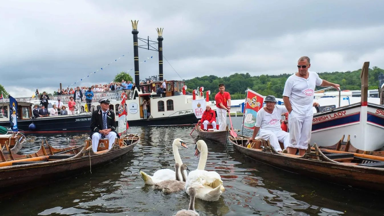 Radar - A britek nagy becsben tartják bütykös hattyúikat