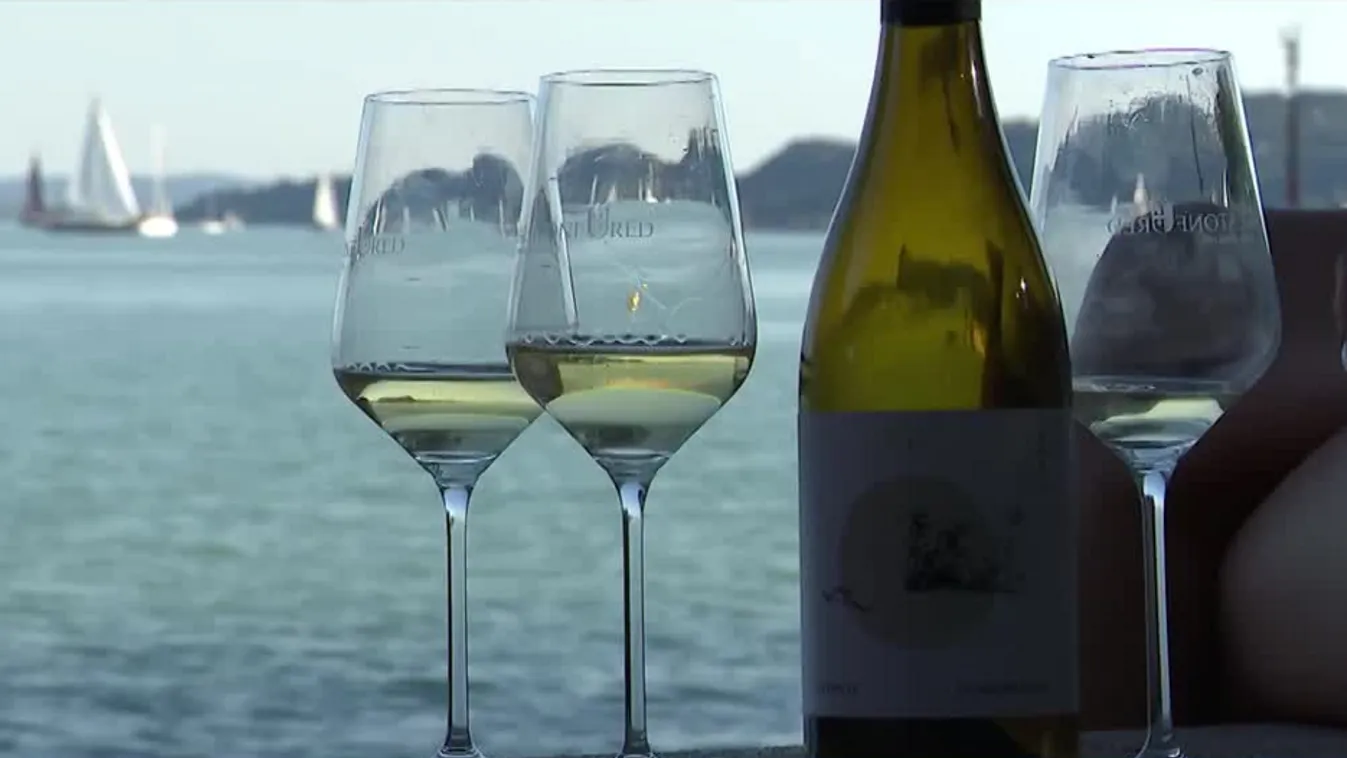 Radar – Jó bor mindenkor